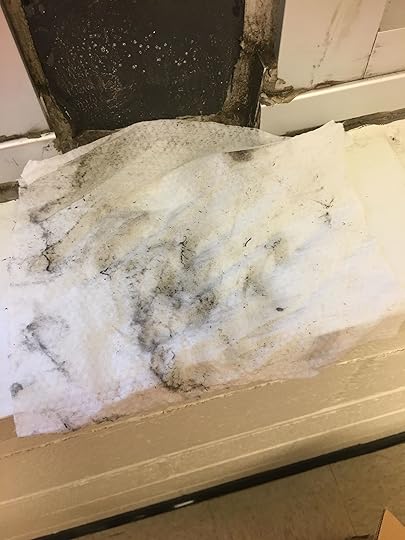 I'm not a professional custodian, but this does not look clean.