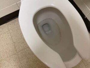 CDCE7776-88CC-4334-A7AF-8D801B153A8E (1)