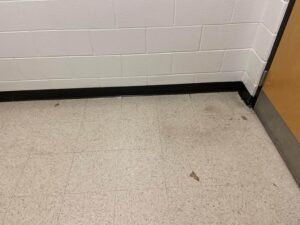 A35B1CFA-C5DC-4CDE-8A69-FB220C4EB686 (1)