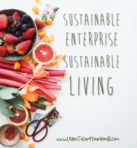 sustainable enterprise sustainable living