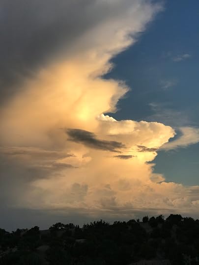 2020-07-27 20.09.14.jpg