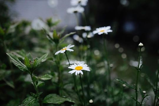 IMG_9962.jpg