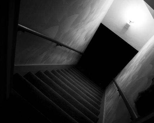 Animal in the Basement: Who You Gonna Call? - Effective Wildlife ...