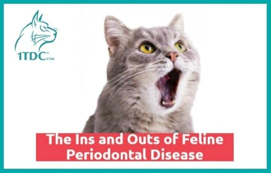 feline-periodontal-disease-guide