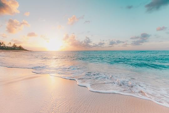 Thanks to Sean O. for sharing their work on Unsplash.