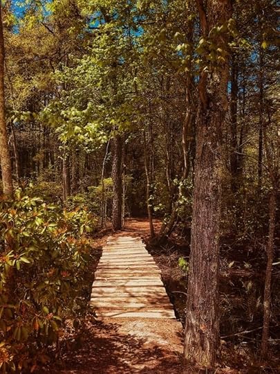 Pine Barrens Facts