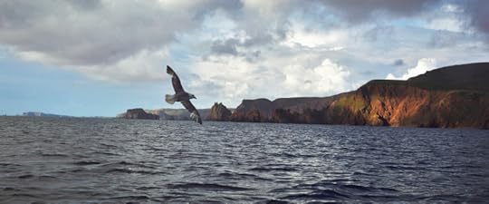 Shetland coast, photograph by David Gange