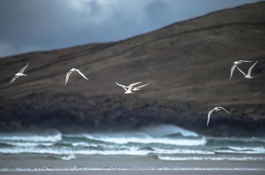 Donegal to Galway, photograph by David Gange