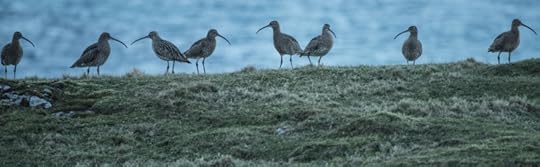 Photograph by David Gange