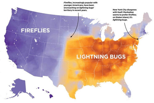 firefly lightning bug map