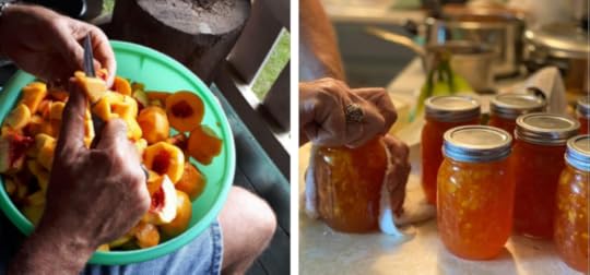 making memories, mountain vacation