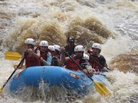 Different Boats? Let’s Weather the Storm by Paddling Together