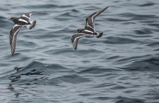 photograph by David Gange