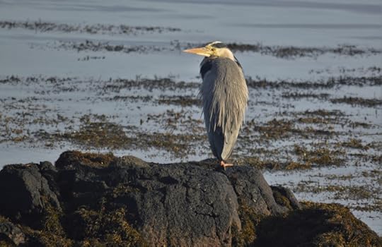 photograph by David Grange