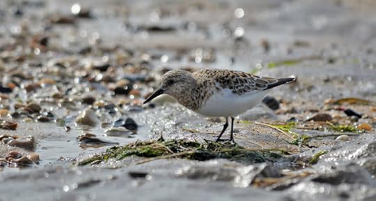 photograph by David Grange