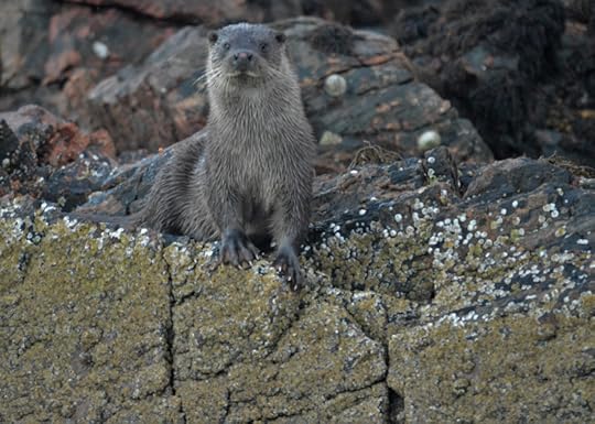 photograph by David Grange