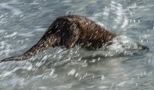 photograph by David Grange