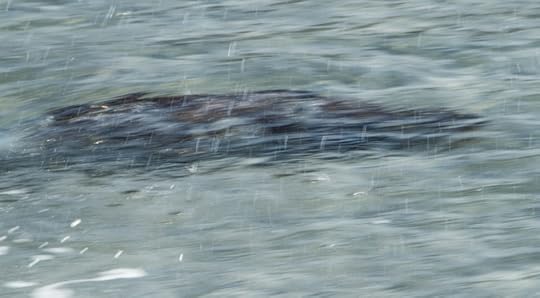 photograph by David Grange