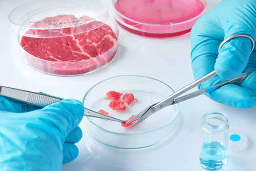 Futurist Speaker Thomas Frey Blog: Protect Food Supply And Transition To Lab Grown Meat