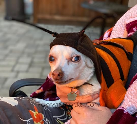 FUCKING MURDER HORNET