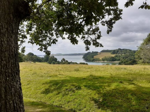 View Trellisick to Fal Estuary Cornwall SC Skillman