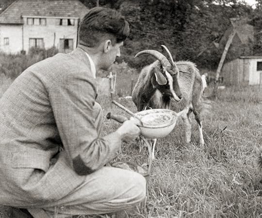 Orwell and goat