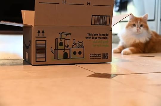 Amazon-boxes-cat-condos