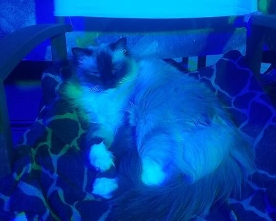 My model, helping me experiment with lighting.