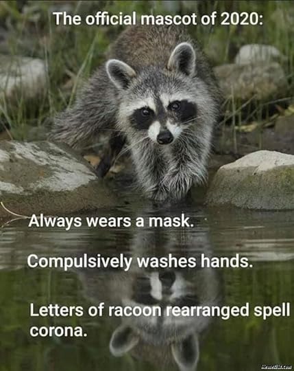 IMG_7727raccoon.jpg