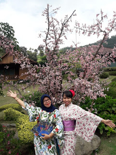 the onsen hot spring resort