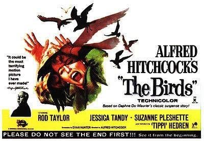 Amazon.com: The Birds - 1963 - Movie Poster: Posters & Prints