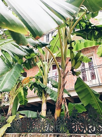 Let It Be Sunday, 283!