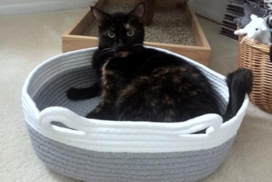 cotton-rope-cat-bed