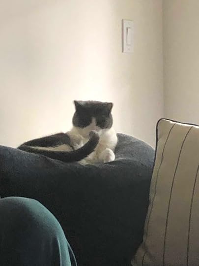 negativity and gratitude to counter it