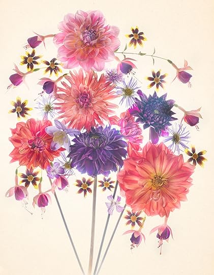 Flowers from our Pandemic Garden © Harold Davis
