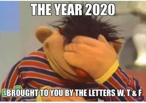 ernie.jpg