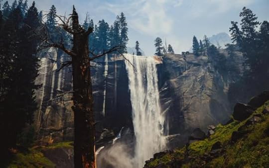 Waterfall spilling into verdant valley, stark, barren, leafless tree in foreground