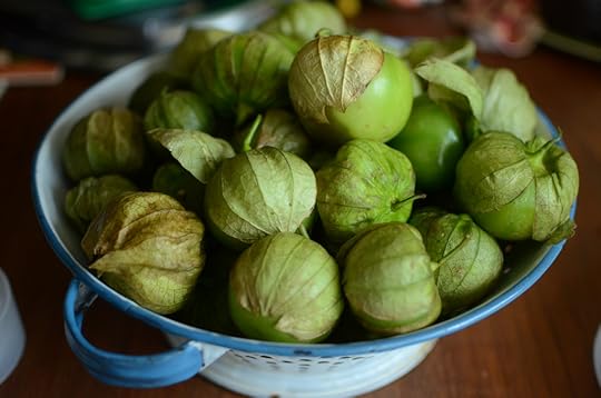 A blue and white colander filled with four pounds of husk-on tomatillos.