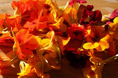 Nasturtium Flowers | Hitchhiking to Heaven