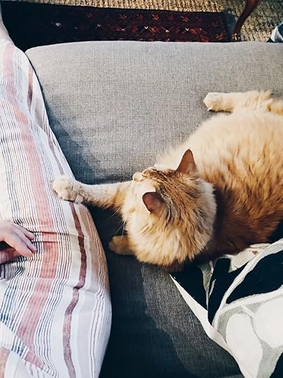 Let It Be Sunday, 284!