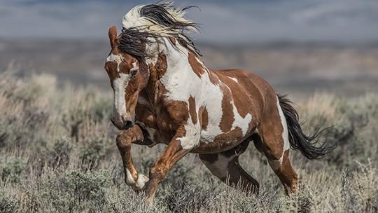 He was like the Holy Grail": The life and legend of America's most ...