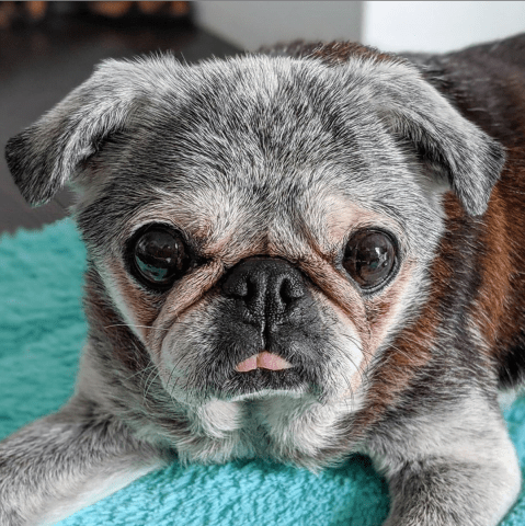 August 9, 2020: Suji Sunday!