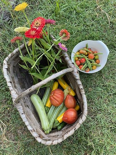 Zucchini and Tomatoes