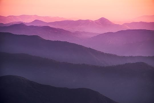 Purple Haze © Harold Davis