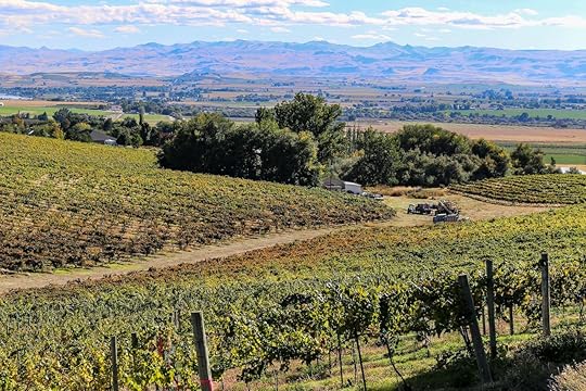 overshadowed wine regions