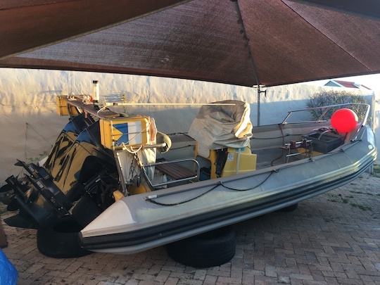 Seahorse reclining in the driveway awaiting the return of her improved trailer