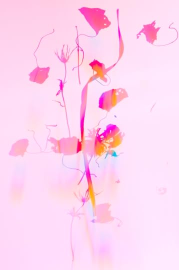 Screen Shot 2020-08-14 at 11.54.34 AM.png
