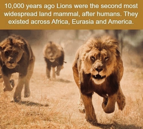 A72288-B0-CCF5-43-E5-990-B-27-DF7899-BD9-F