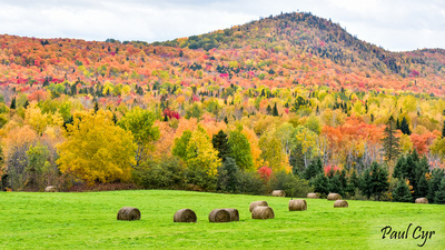 Paul Cyr Photography: Foliage &emdash; Foliage (73)