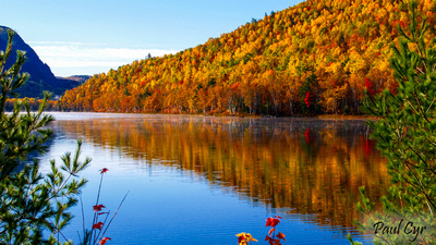 Paul Cyr Photography: Foliage &emdash; Foliage (207)